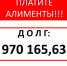 Платите алименты!!! - Моркинский районный суд